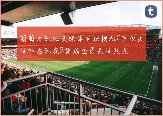 葡萄牙队社交媒体互动揭秘C罗仅关注四名队友B费成全员关注焦点